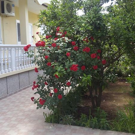 Apartments Branko זאדאר מראה חיצוני תמונה