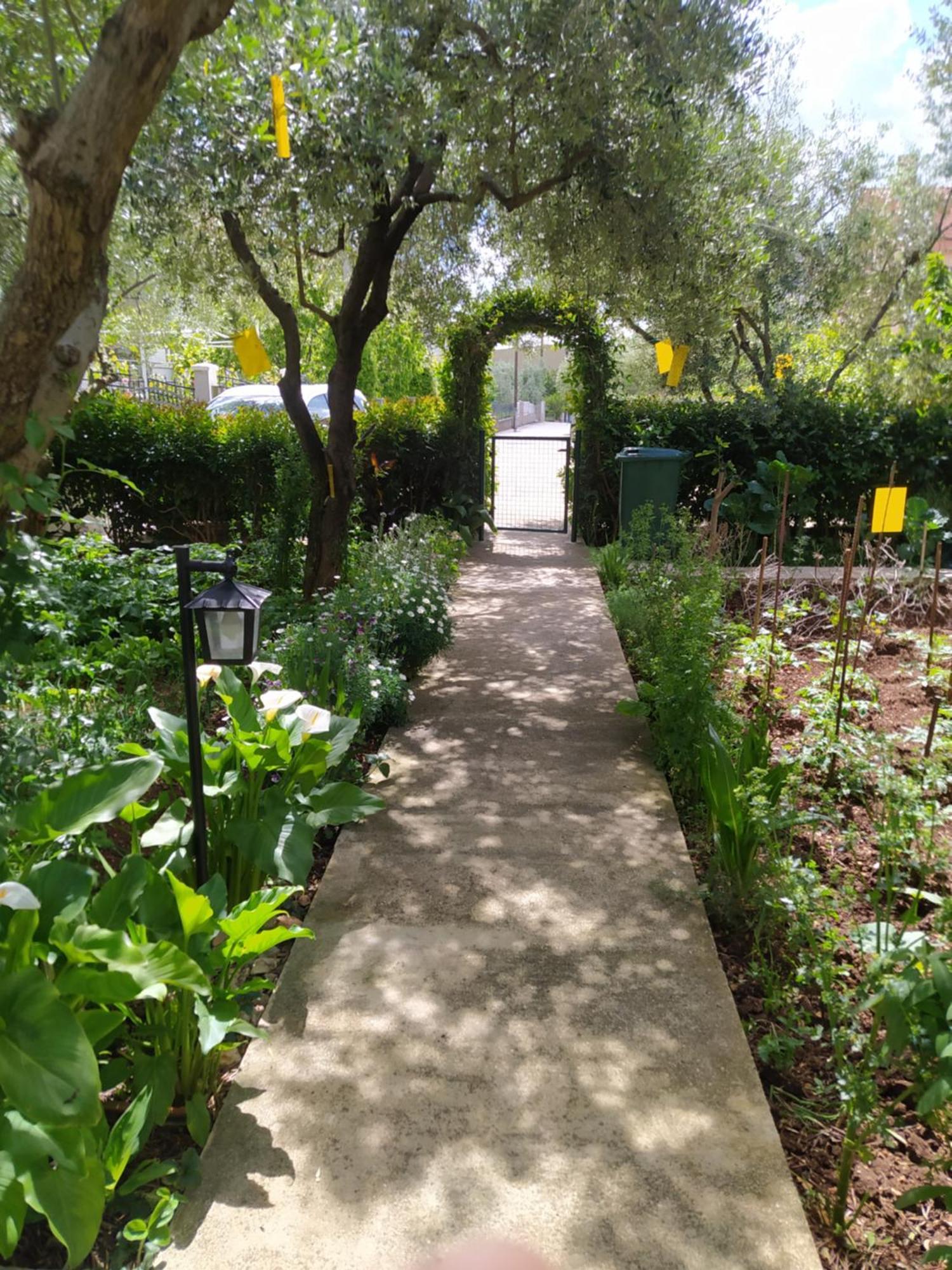 Apartments Branko זאדאר מראה חיצוני תמונה