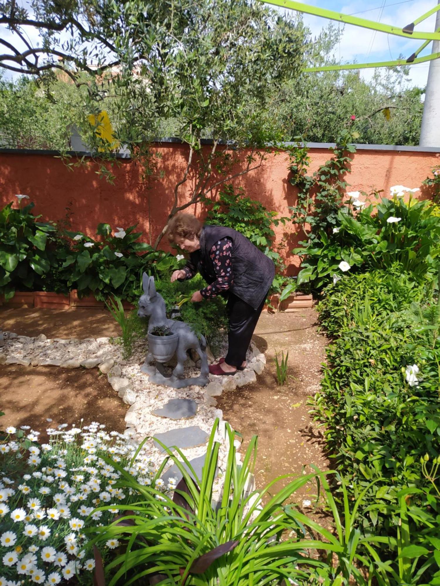 Apartments Branko זאדאר מראה חיצוני תמונה