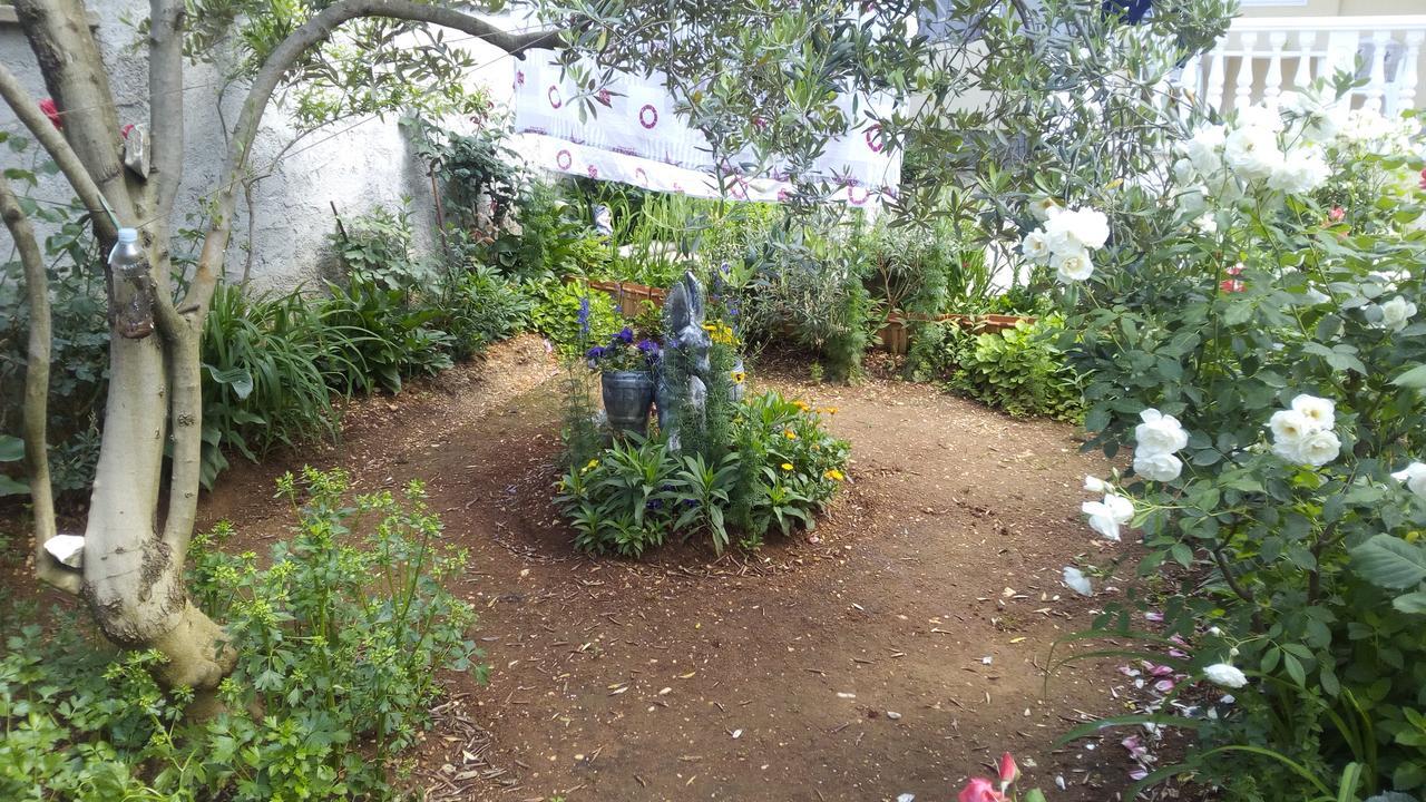 Apartments Branko זאדאר מראה חיצוני תמונה