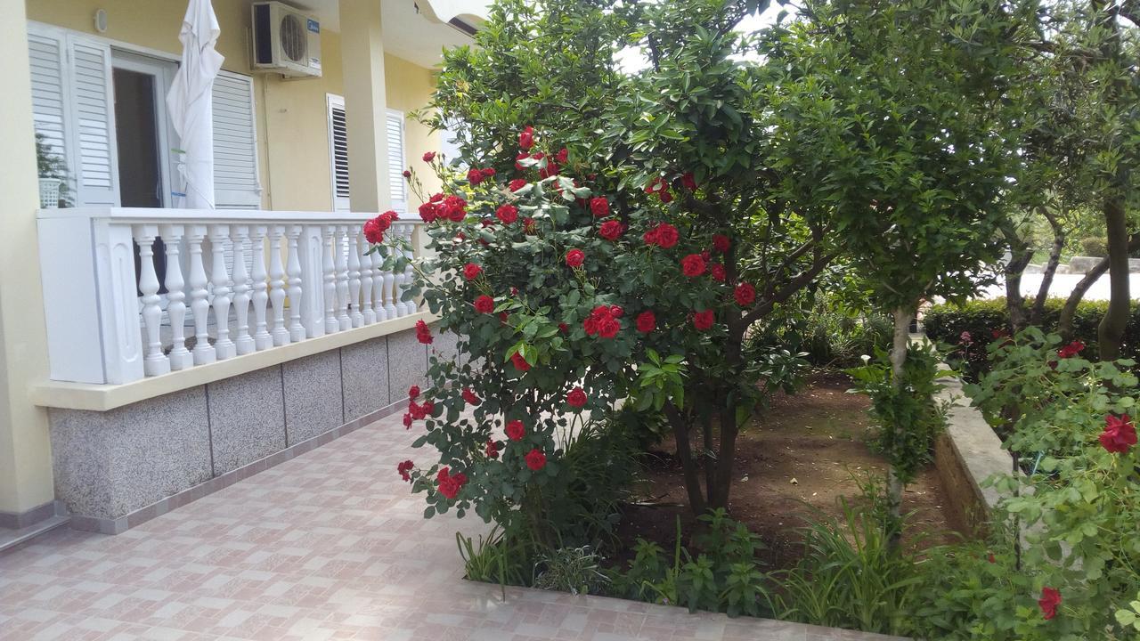 Apartments Branko זאדאר מראה חיצוני תמונה