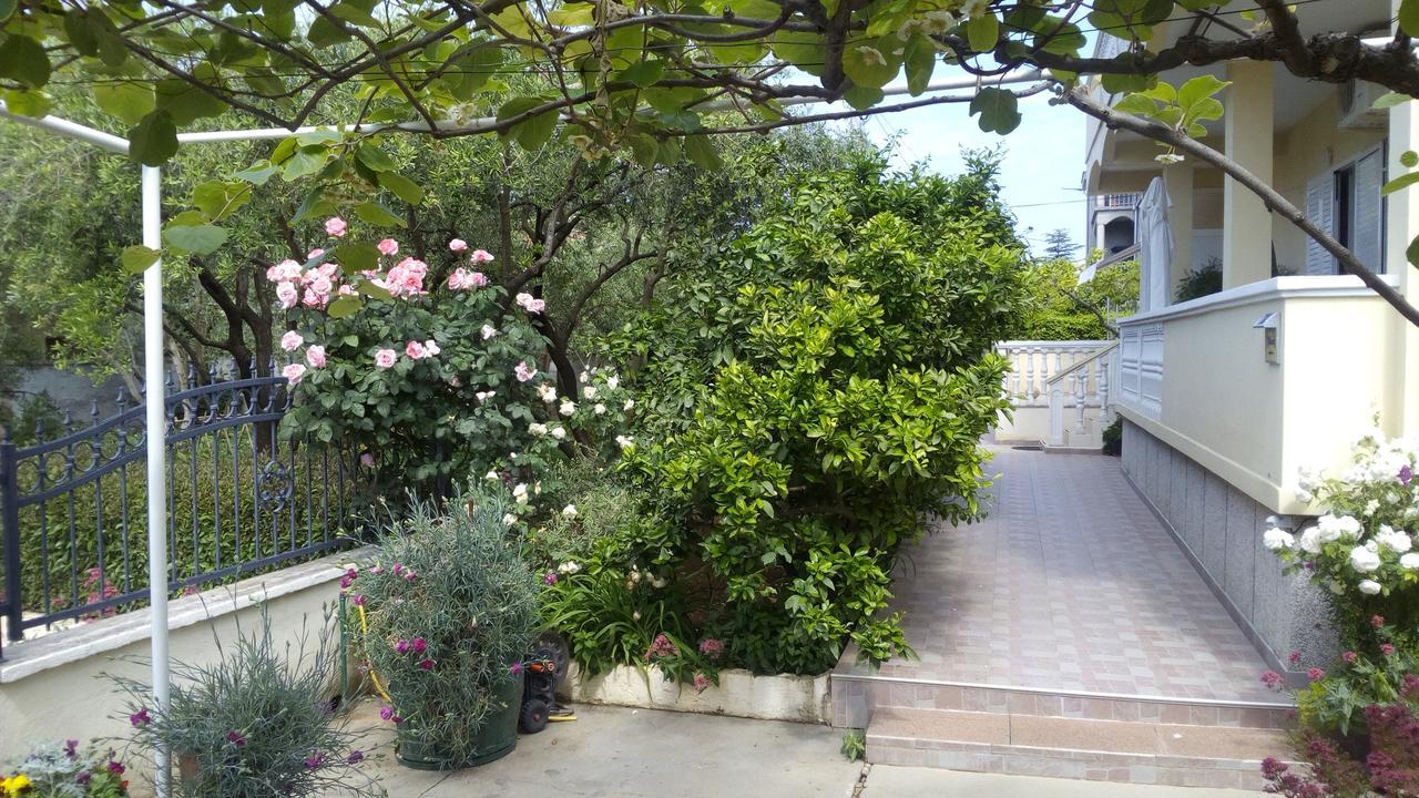 Apartments Branko זאדאר מראה חיצוני תמונה