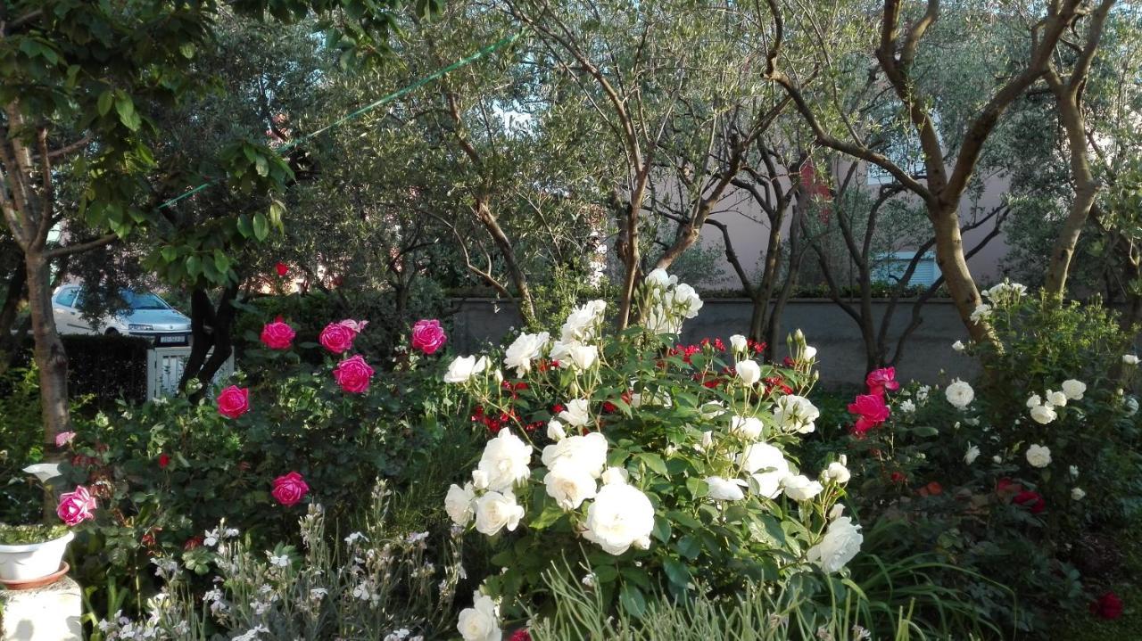 Apartments Branko זאדאר מראה חיצוני תמונה